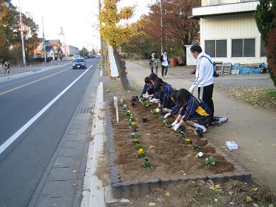 古河二中生植え付けの写真