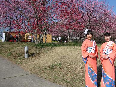 野点会場の写真"