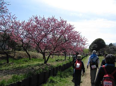 総合公園の中を歩いているところの写真"