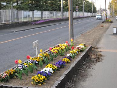 （有）白石製作所担当の花壇の写真"