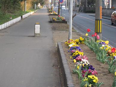 旧日光街道沿いの歩道の写真"