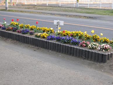 「伊藤鉄工所」担当の花壇の写真"