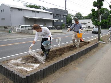 石灰と化成肥料をまいているところの写真"