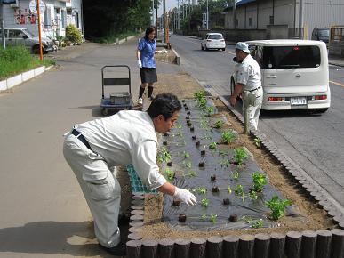 植え付けの写真"