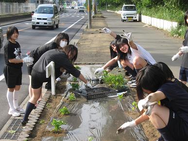 古河二高生・植え付けの写真"