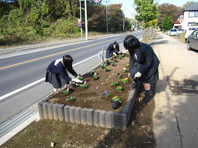 中心にチューリップを植え付けの写真"