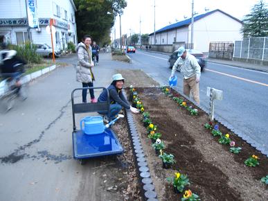 （有）白石製作所植え付け中の写真"