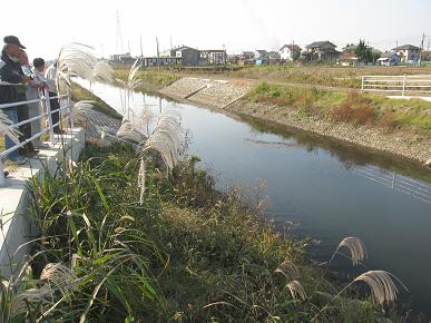 一級河川多々良川改修事業の写真"