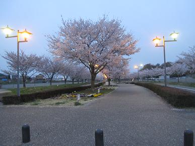 古河総合公園アプローチ道路の写真"